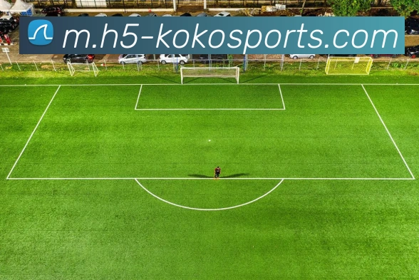 球赛投注平台生态图