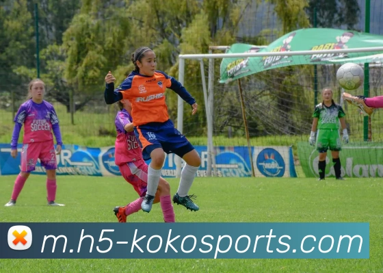 球赛投注APP 封面图